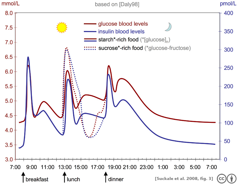 Normal Blood Sugar Levels After Eating Chart